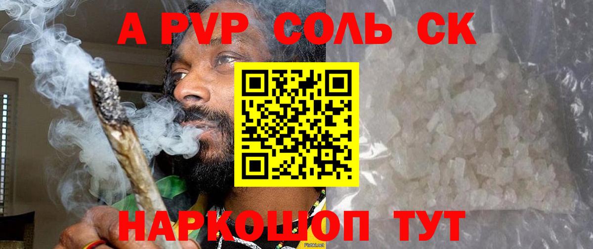 A PVP СК КРИС Воронеж