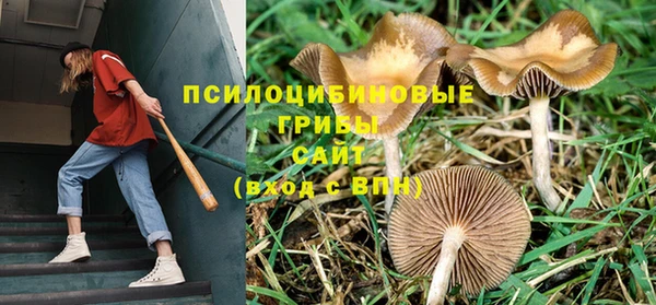 спиды Новокубанск