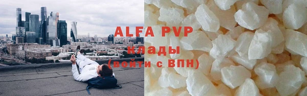 сатива Новодвинск