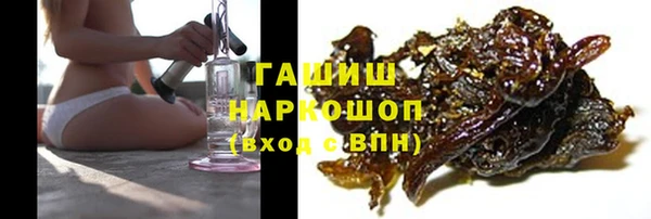 сатива Новодвинск