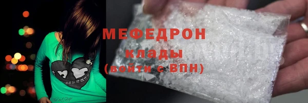 сатива Новодвинск