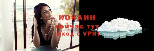 сатива Новодвинск