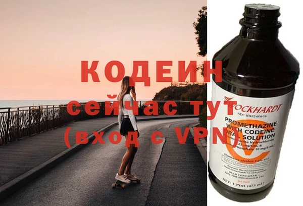 сатива Новодвинск