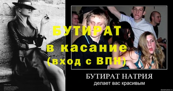 сатива Новодвинск