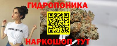 ALPHA PVP Моздок