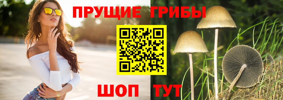 Воронеж  Галлюциногенные грибы Magic Shrooms  Вход с VPN 
