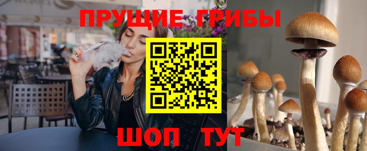 Галлюциногенные грибы Psilocybine cubensis Воронеж